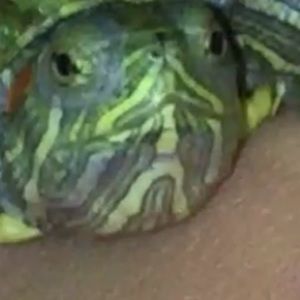 Meet your Posher, Kenia